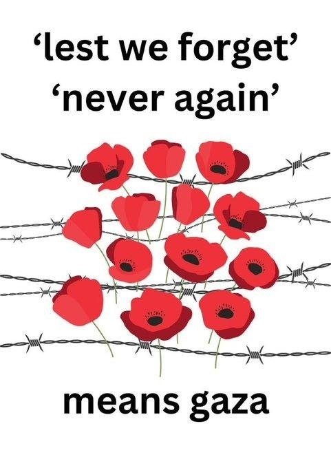 lest we forget never again means gaza graphic. Poppies on barbed wire.
