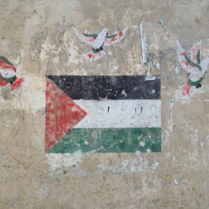 Palestine flag graffiti on wall surrounded by peace doves