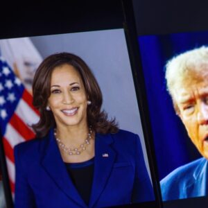 Vice President of the United States Kamala Harris is sharp in the foreground, while republican candidate Donald Trump is blurred in the background, USA, Washington, July 21, 2024