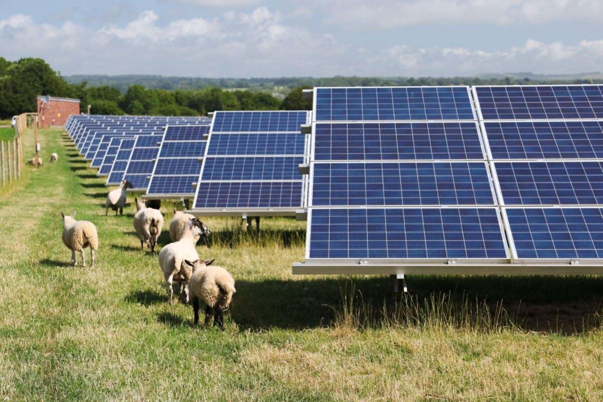 A solar farm for west Cumbria