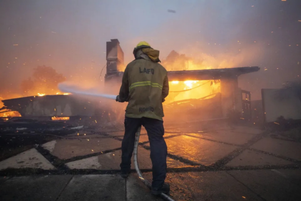 Firefighter in forground facing away witha hose pointing towards fires filling the rest of screen