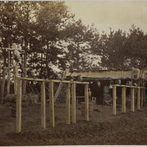 photo of executed heads in edo period japan
