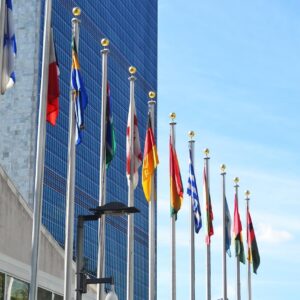 UN flags