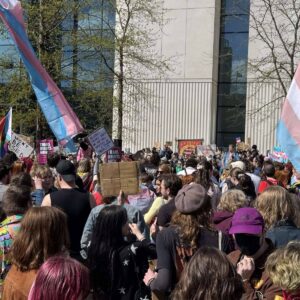 Large crows of people with backs to camera and trans flags flying