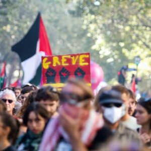 french demo against macron