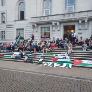 pro palestine demo outside teh town hall
