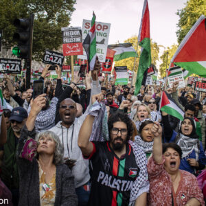 An image of a Palestine demo with flags and people shouting.