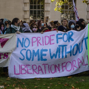 Large hand made banner saying 'No Pride for some withourt liberation for all' being held by large group of people, many masked.