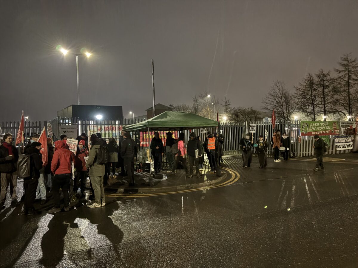 Pickeets congregate before dark.