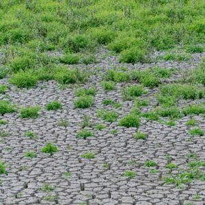Dried up lake. Photo: Shutterstock