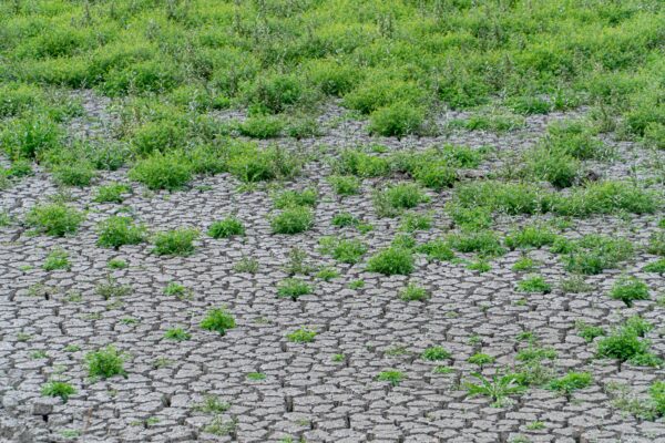 Dried up lake. Photo: Shutterstock