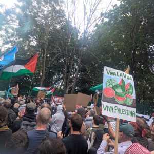 Part of crowd outside qoolwich crown court 12 June. Large placard saying Viva, la viva, viva Palestina in forefround. Photo: Dora Pitura