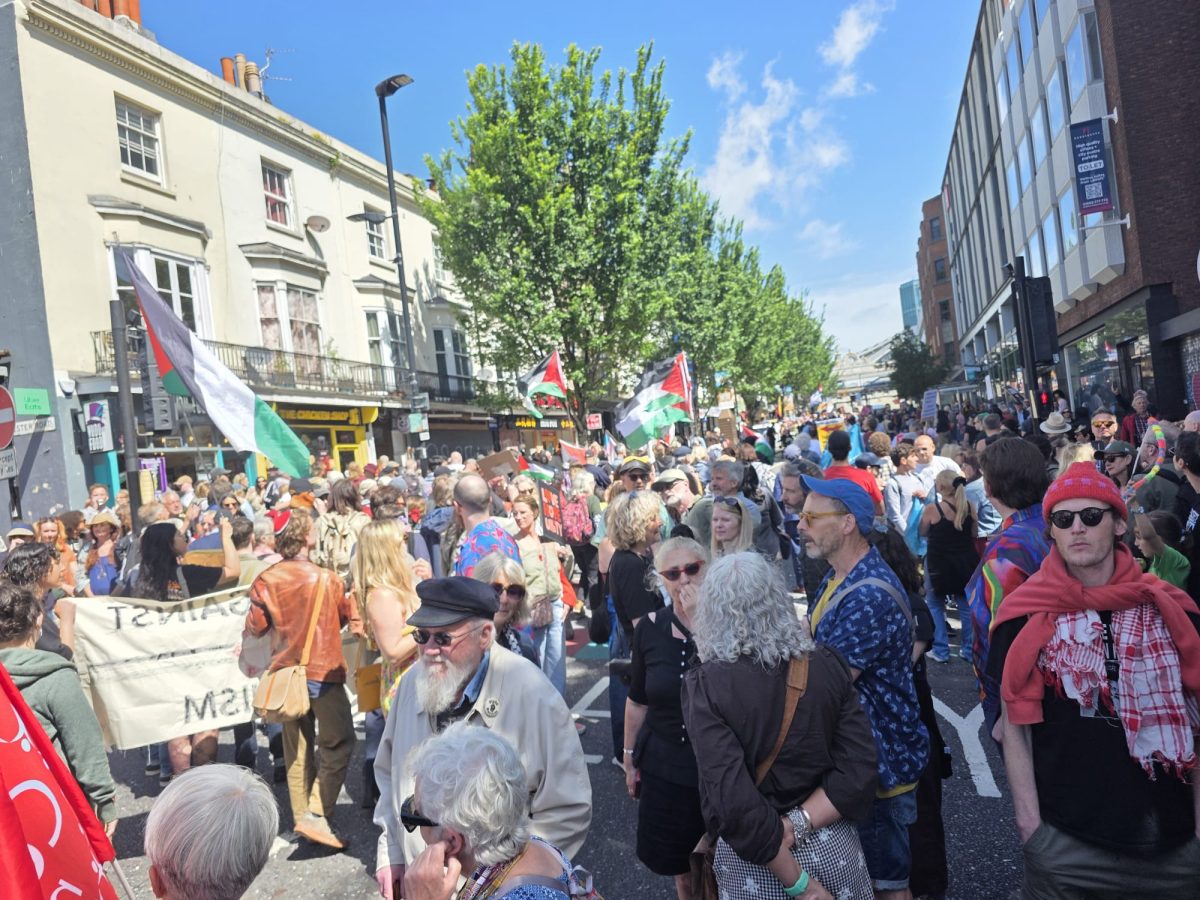 Crowds at Brighton Carnival v Fascism. Photo: Mark Findlay