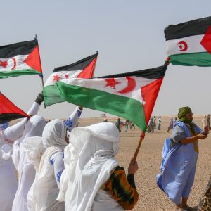 Polisario front flags in Western Sahara