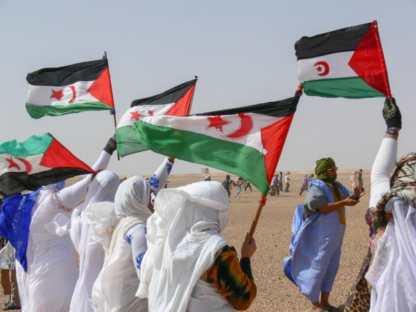 Polisario front flags in Western Sahara
