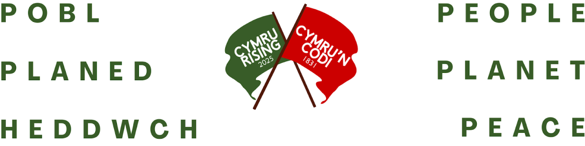 logo of Cymru rising