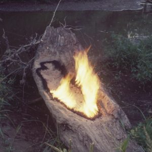 ana mendieta untitled 1977 tate images