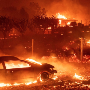 Photo of willd fire