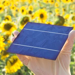 Solar panel surronded by sunflaowers. Photo: Baumann, Pixabay