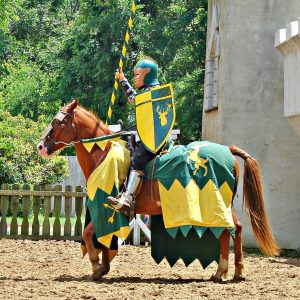 Knight in armour ready to joust Photo: Sarah Maria from Pixabay